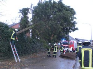 Die Technische Hilfeleistung ist sehr vielfältig und umfasst alle Einsätze vom Sturmschaden über Verkehrsunfälle bis hin zu Ölspuren