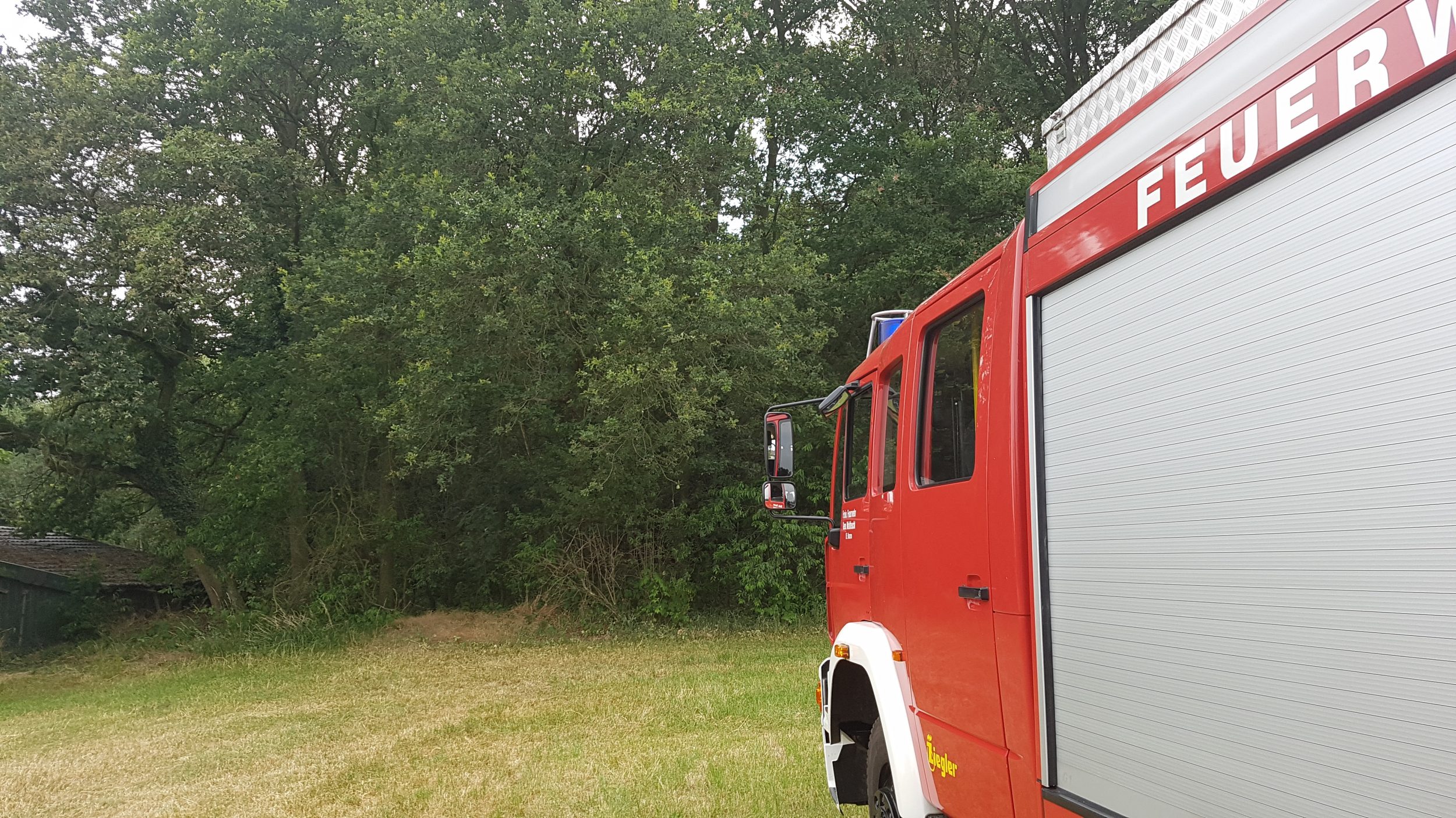 Brand im Unterholz / Böschung