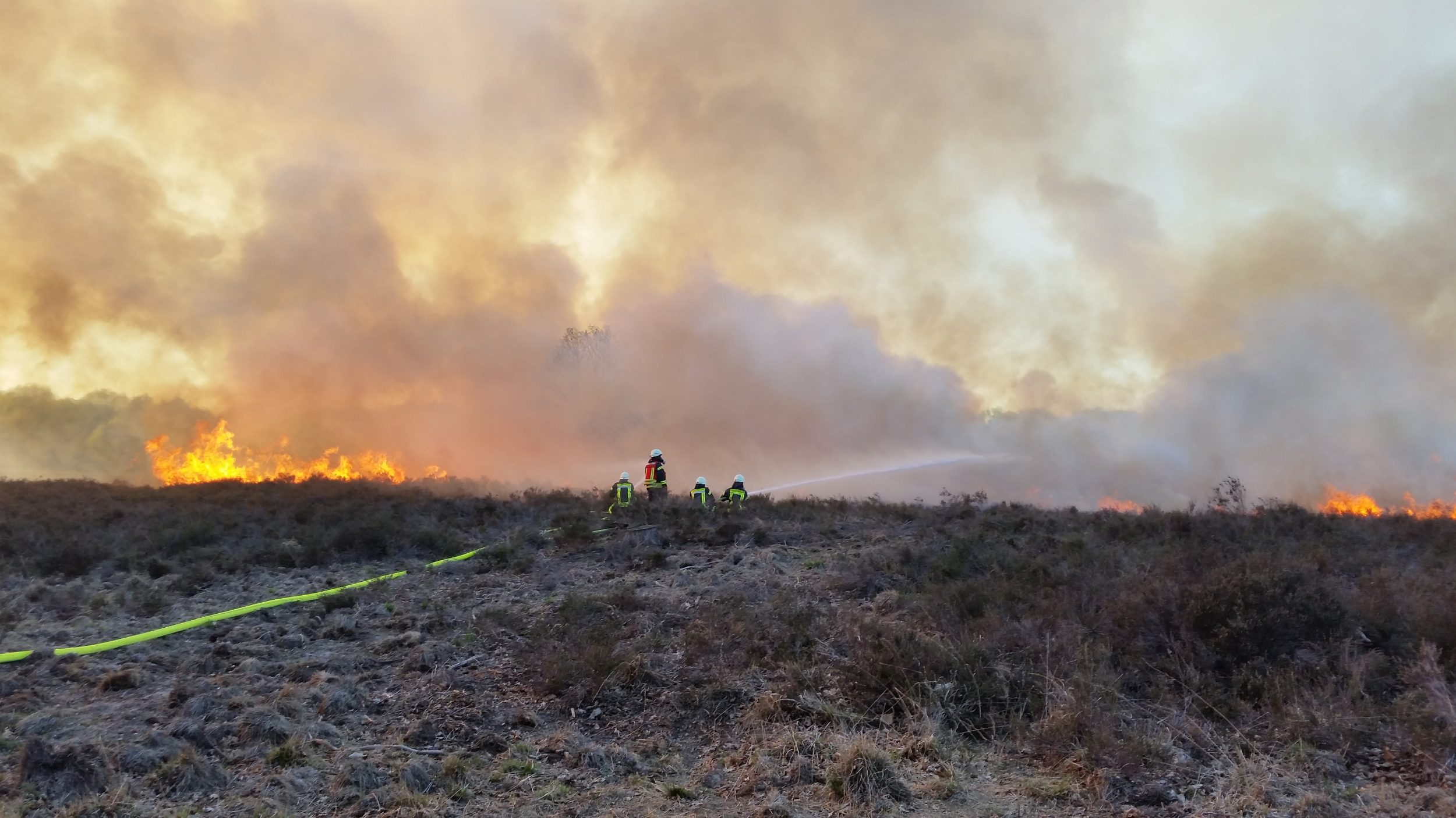 Großflächiger Waldbrand – überörtliche Hilfe