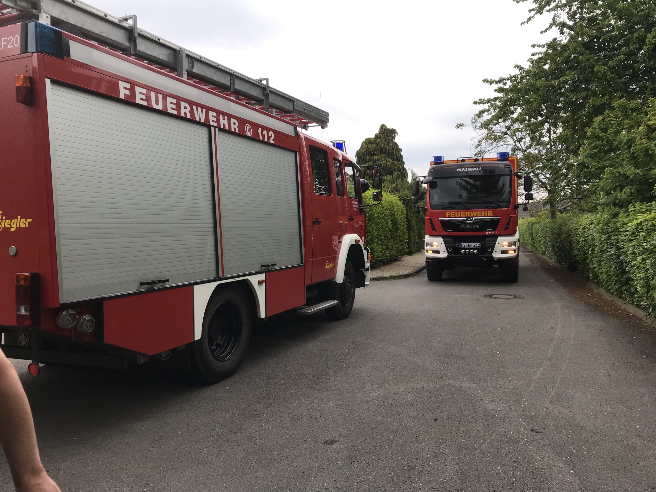 Tierrettung – Frettchen in Kellerschacht