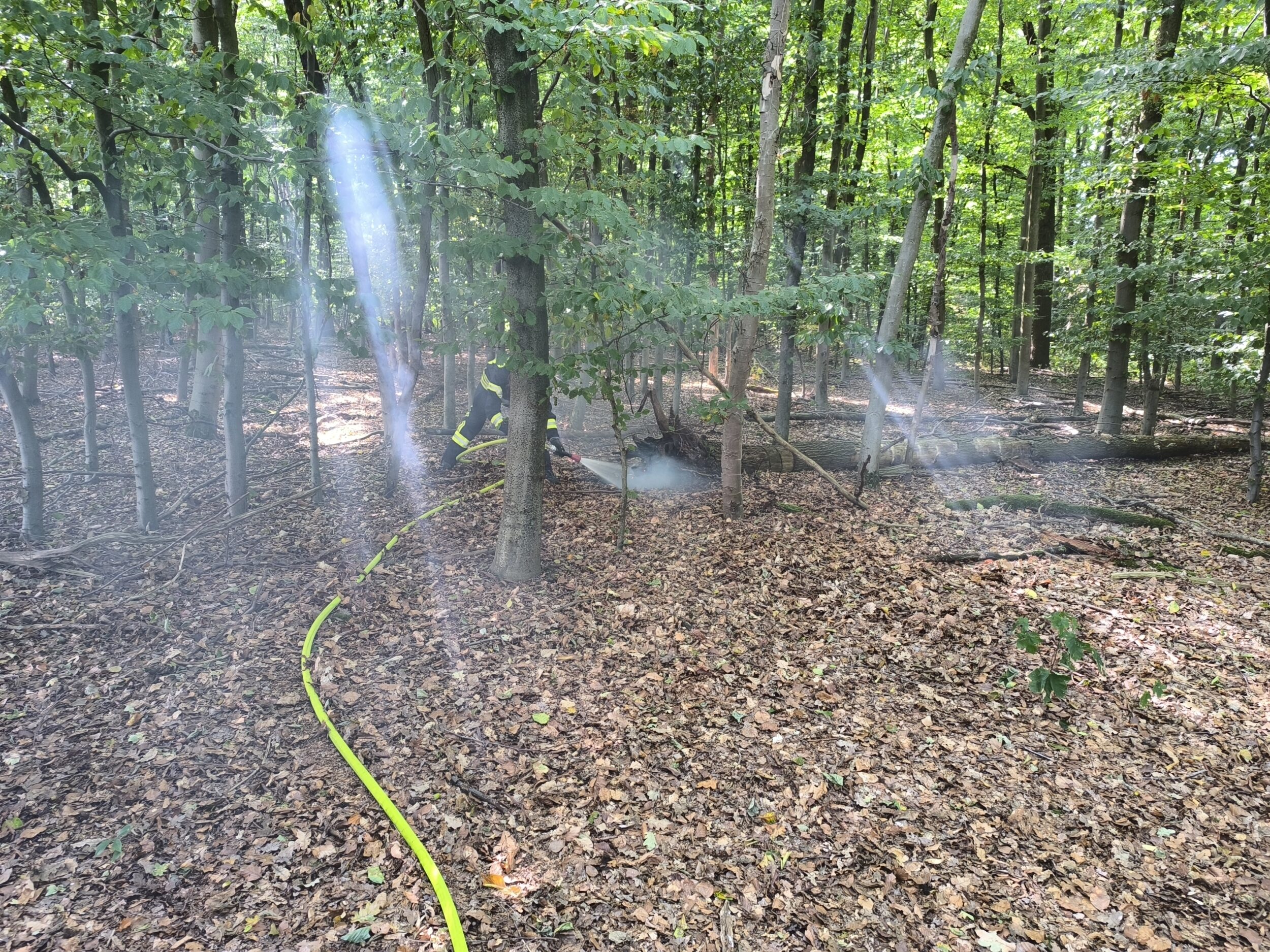 Feuer 0 – brennt Baumstumpf